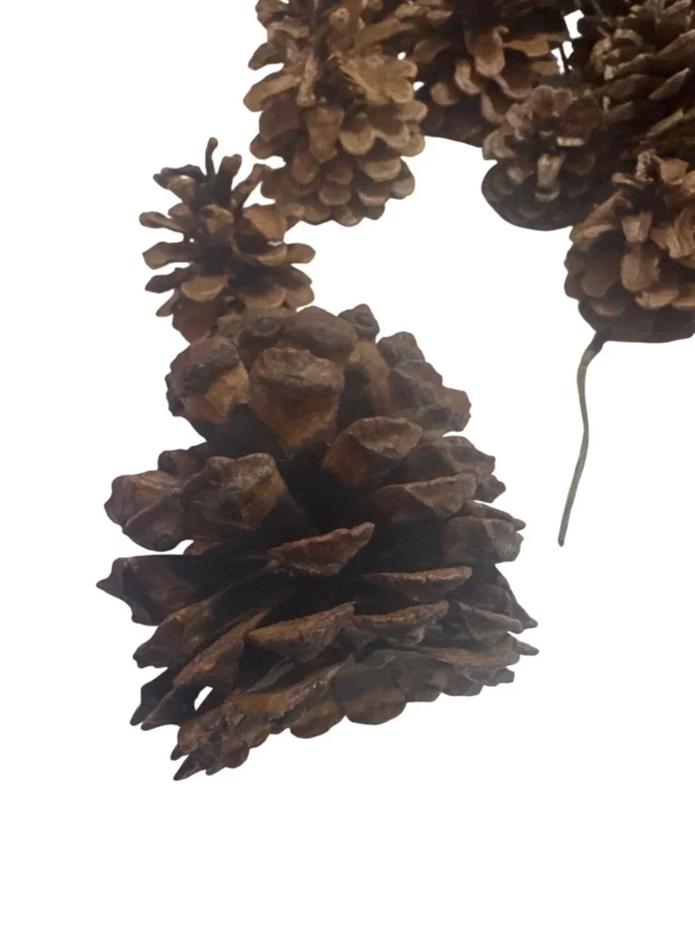 Natural Brown Pinecones for Garland Party Wedding Decor Christmas Craft Supply